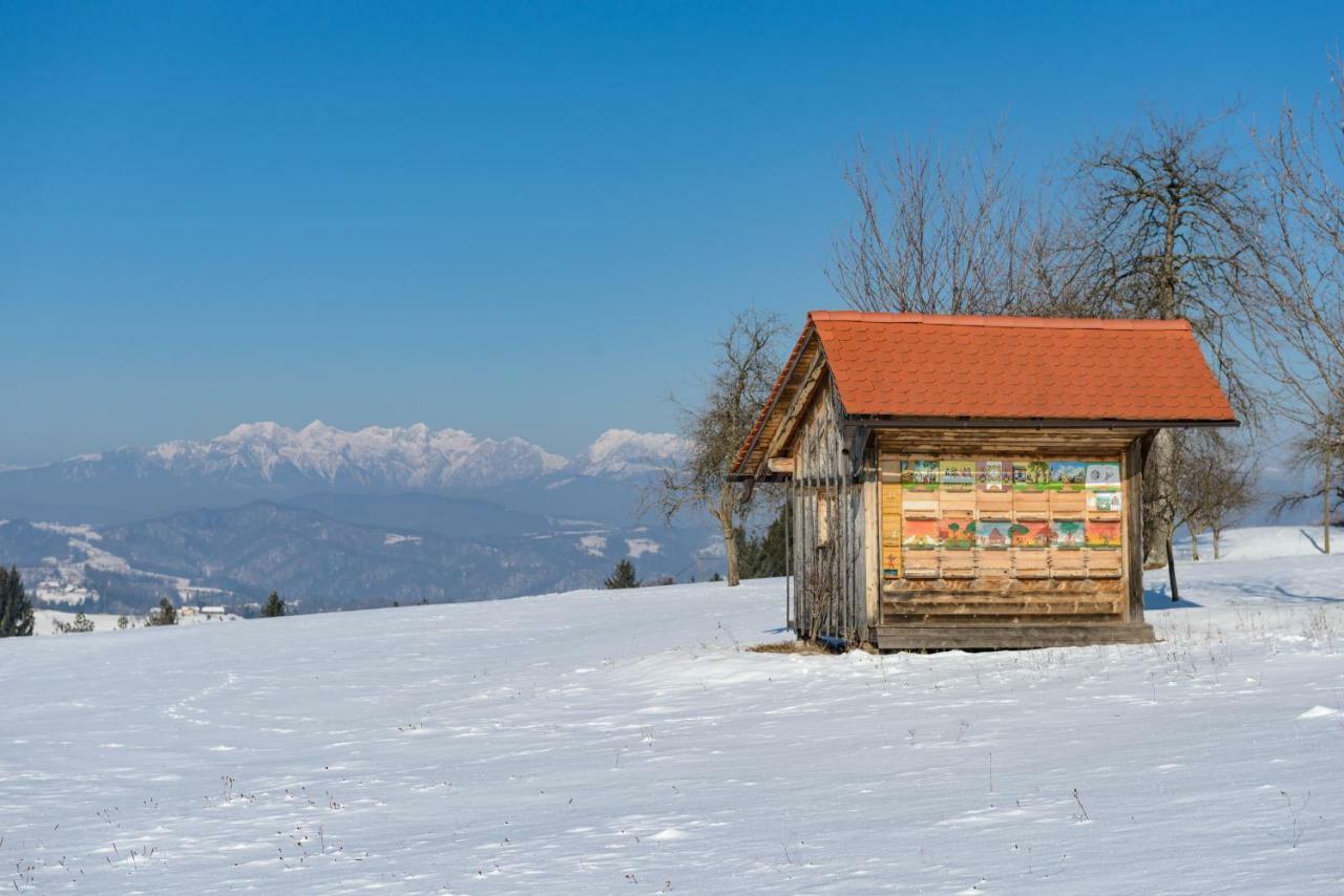 Holiday Home Virida, App Leopold III Ivancna Gorica Exterior photo